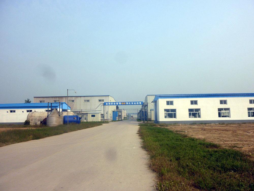 公司風(fēng)采3